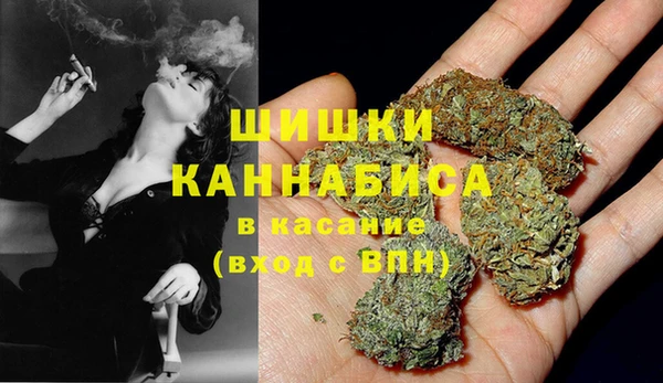 СК Липки