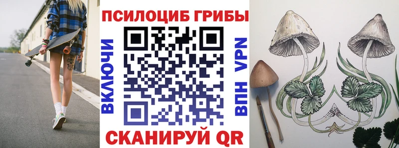 что такое   KRAKEN зеркало  Псилоцибиновые грибы Magic Shrooms  Талдом 