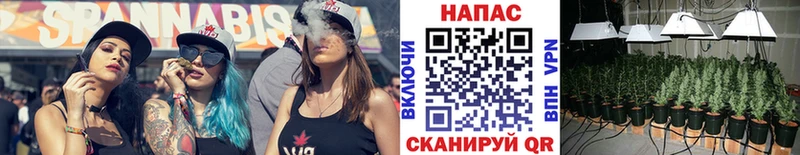 Конопля Ganja  Талдом 